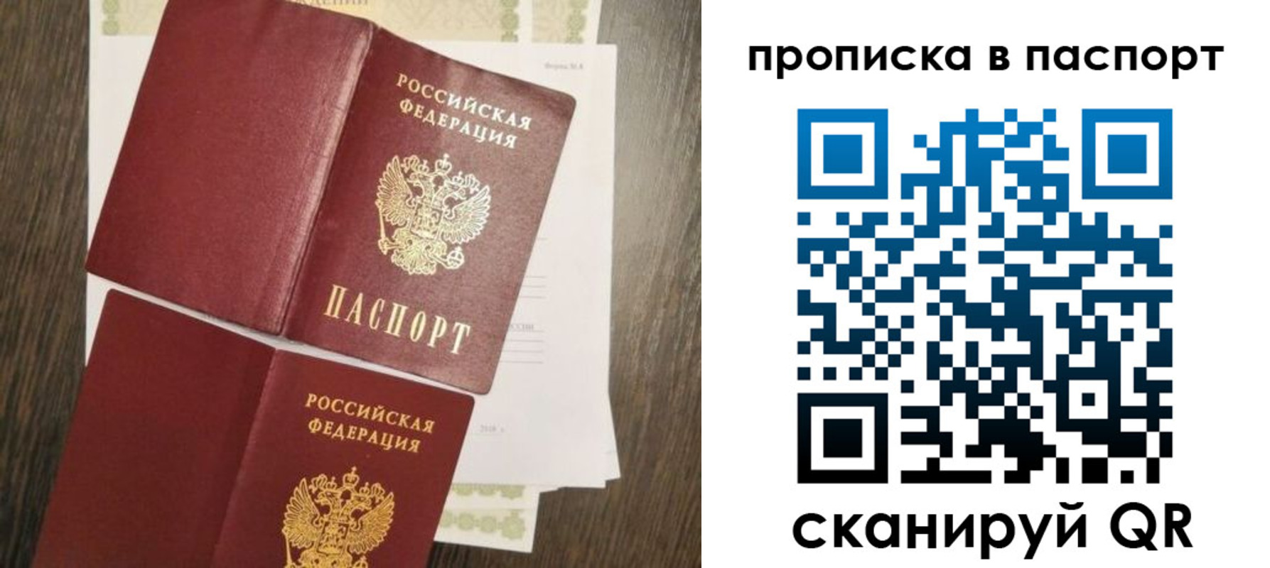 прописка гарантия в Цимлянске